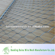 Advaced technoligy aviary cage wire mesh